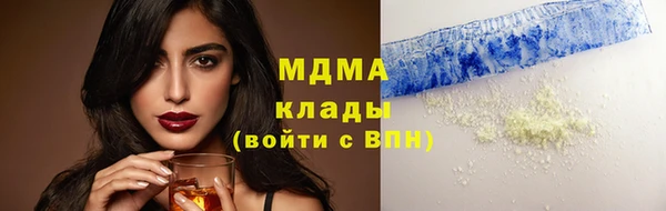 прущие грибы Бородино