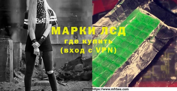 прущие грибы Бородино