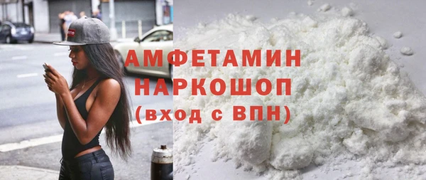 прущие грибы Бородино