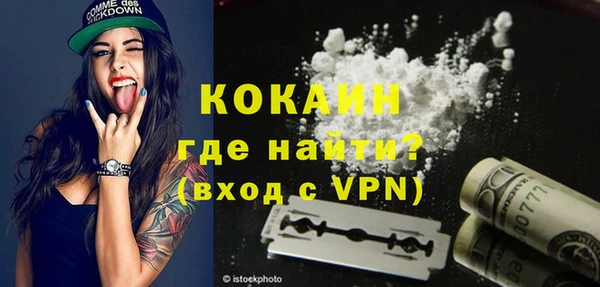 прущие грибы Бородино